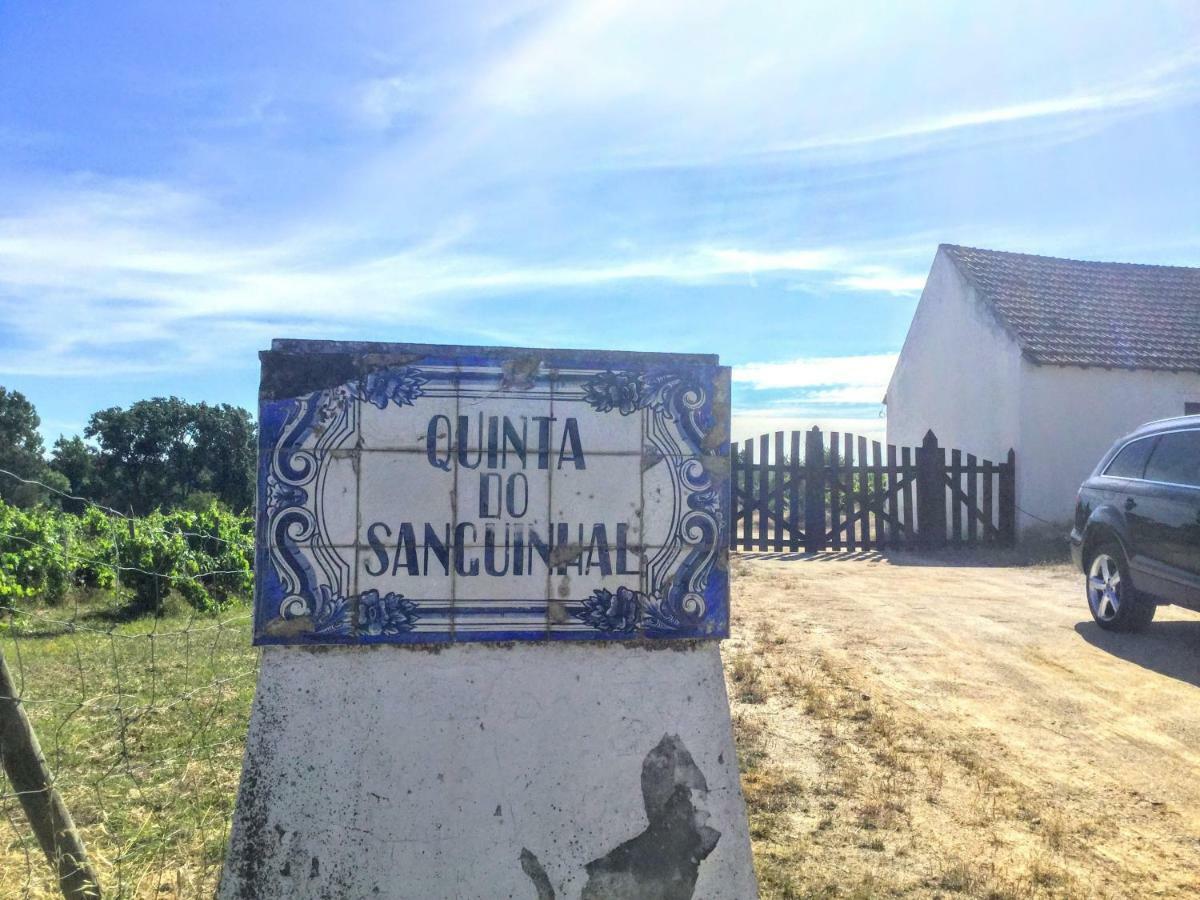 リオ・マイオル Quinta Do Sanguinhalヴィラ エクステリア 写真